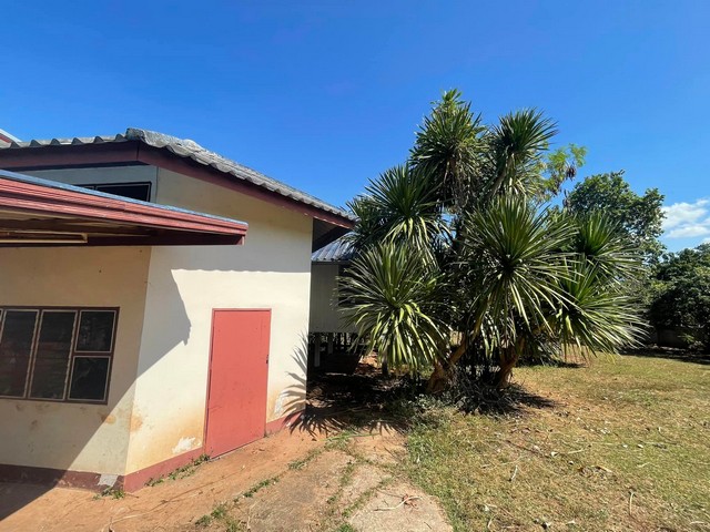 ขายที่ดินพร้อมบ้าน เจ้าของขายเอง เหมาะทำเป็นที่อยู่อาศัยหรือบ้านพักตากอากาศ  อำเภอด่านซ้าย จังหวัดเลย